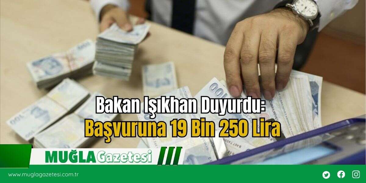 Bakan Işıkhan Duyurdu: Başvuruna 19 Bin 250 Lira