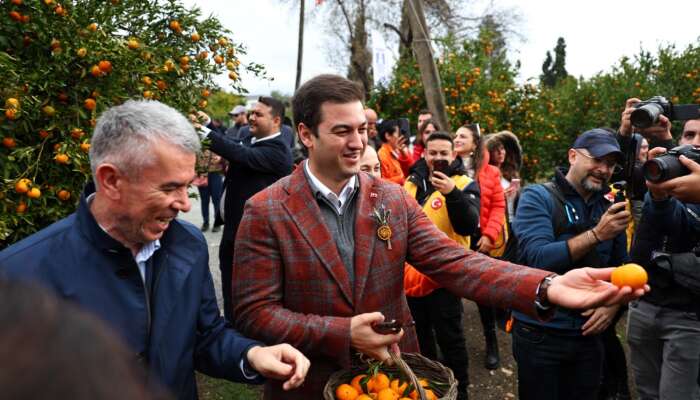 Coğrafi İşaretli Bodrum Mandalini Artık Türkiye’nin Dört Bir Yanına Ulaşıyor