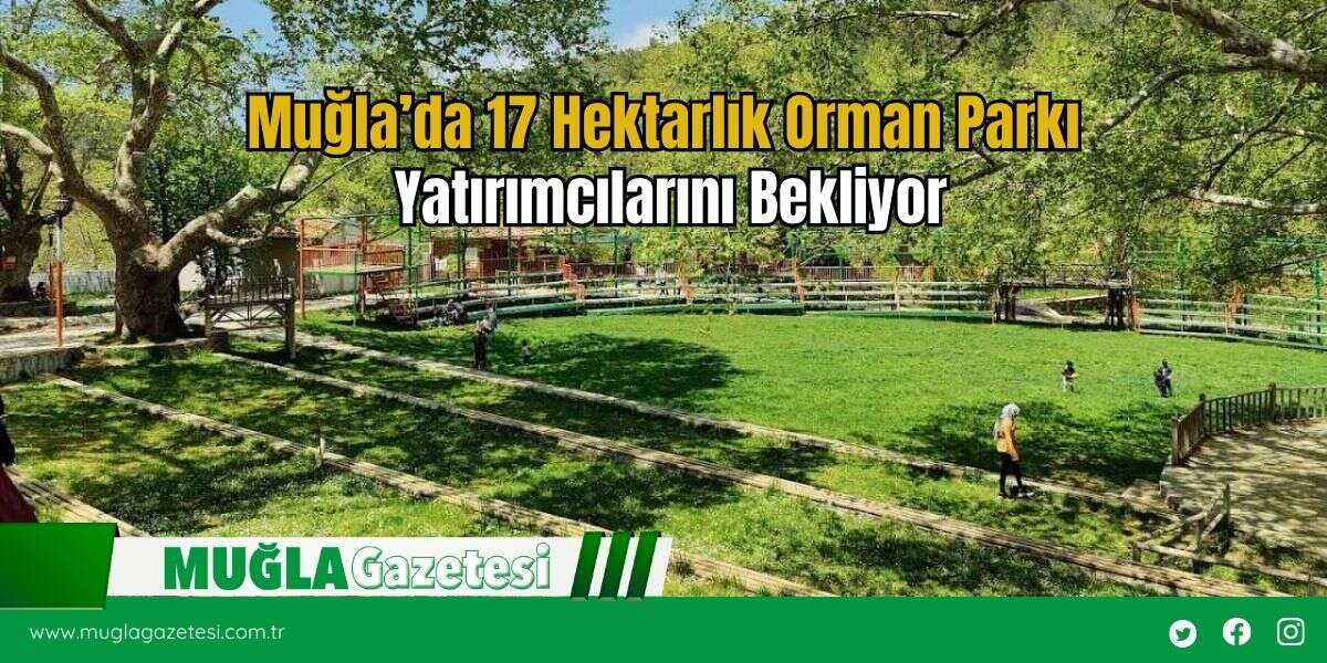 Muğla’da 17 Hektarlık Orman Parkı Yatırımcılarını Bekliyor