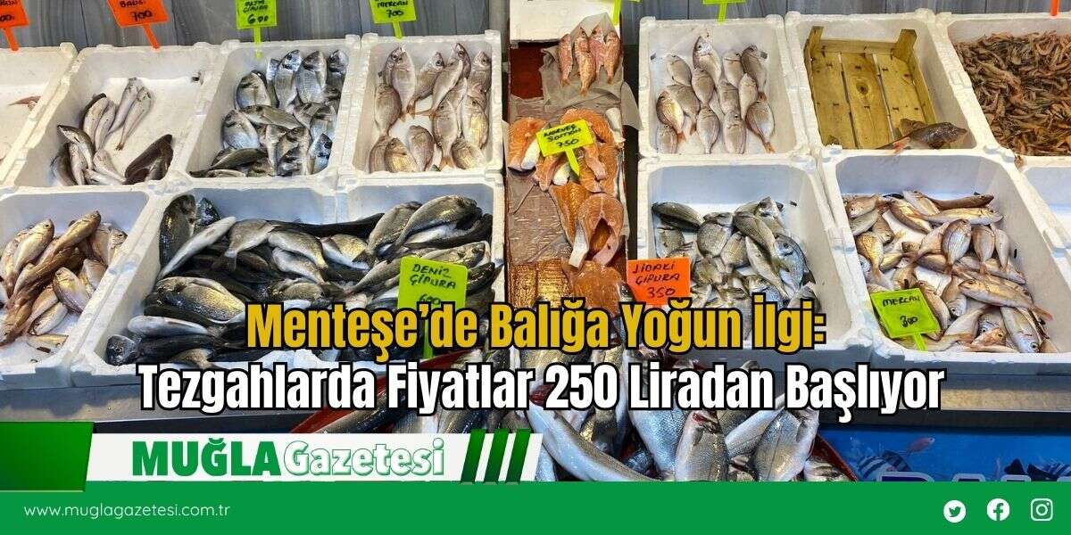 Menteşe’de Balığa Yoğun İlgi: Tezgahlarda Fiyatlar 250 Liradan Başlıyor