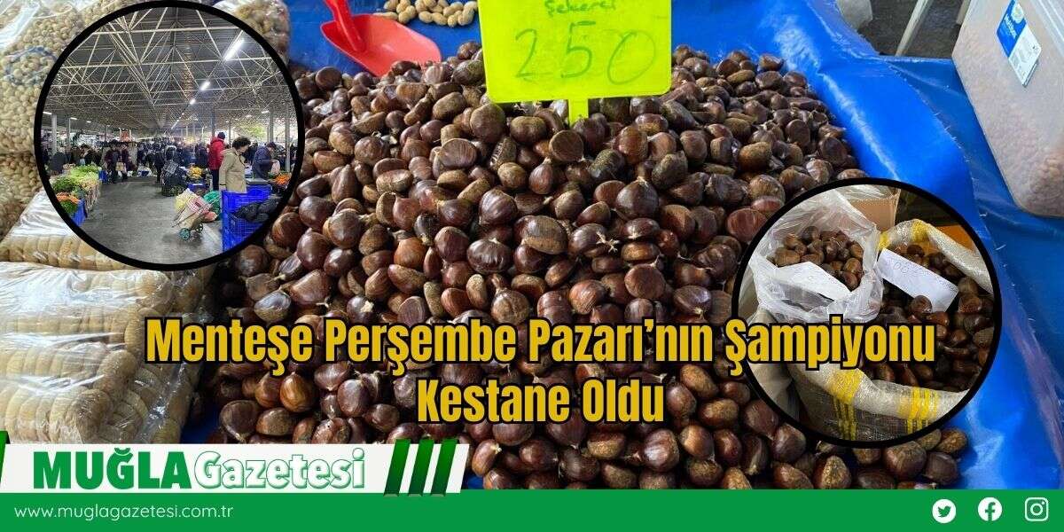 Menteşe Perşembe Pazarı’nın Şampiyonu Kestane Oldu