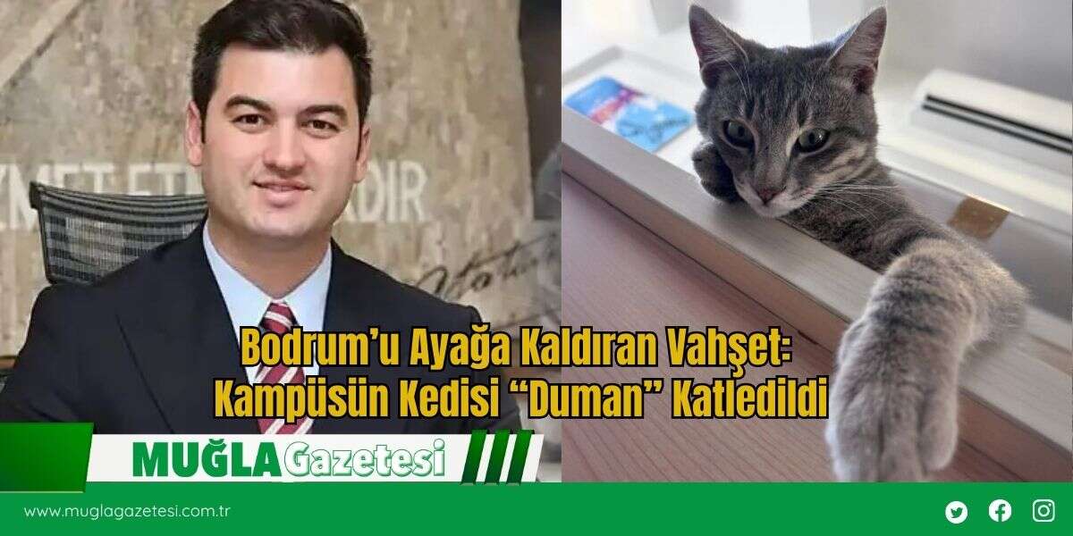 Bodrum’u Ayağa Kaldıran Vahşet: Kampüsün Kedisi “Duman” Katledildi