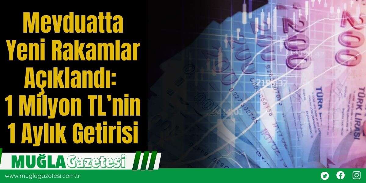 Mevduatta Yeni Rakamlar Açıklandı: 1 Milyon TL’nin 1 Aylık Getirisi