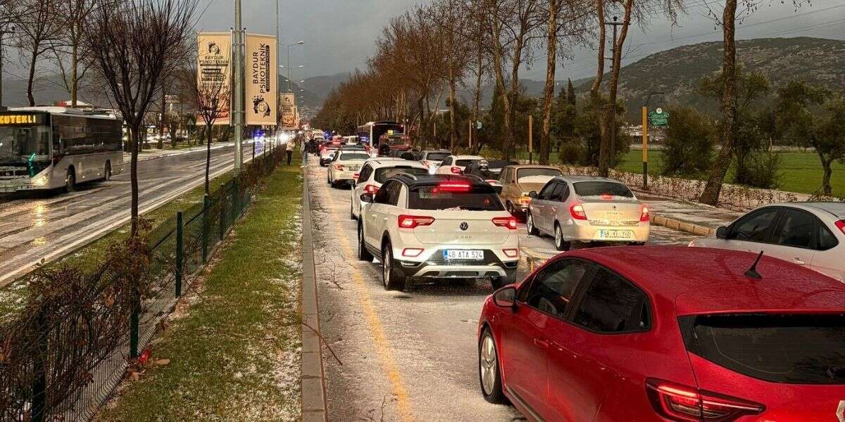 Menteşe’de Fırtına Trafiği Felç Etti: Uğur Mumcu Bulvarı’nda Ağaç Devrildi