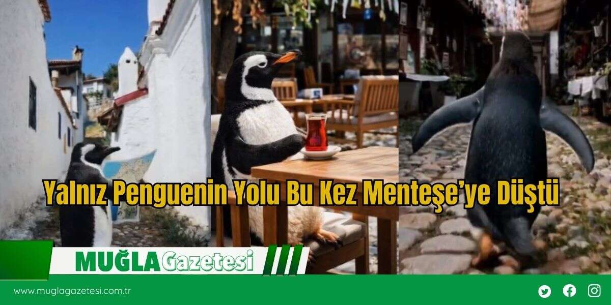 Yalnız Penguenin Yolu Bu Kez Menteşe’ye Düştü
