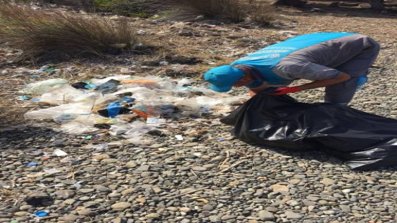 40 Derece Sıcak Altında Koy Temizliği