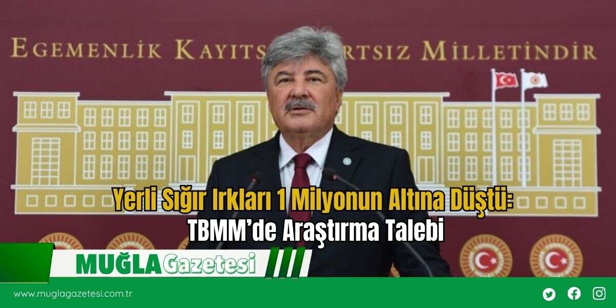 Yerli Sığır Irkları 1 Milyonun Altına Düştü: TBMM’de Araştırma Talebi