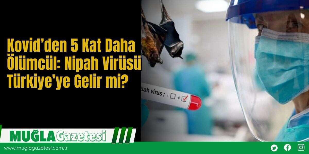 Kovid’den 5 Kat Daha Ölümcül: Nipah Virüsü Türkiye’ye Gelir mi?