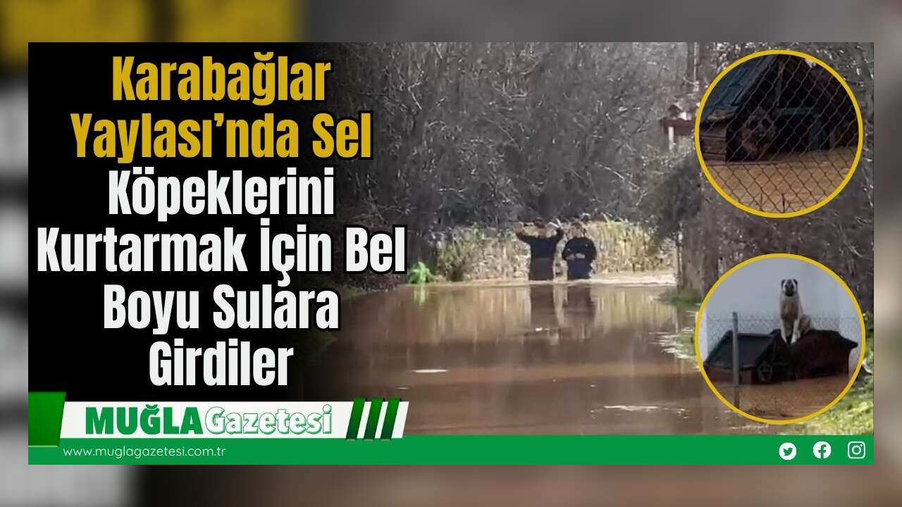 Karabağlar Yaylası’nda Sel: Köpeklerini Kurtarmak İçin Bel Boyu Sulara Girdiler