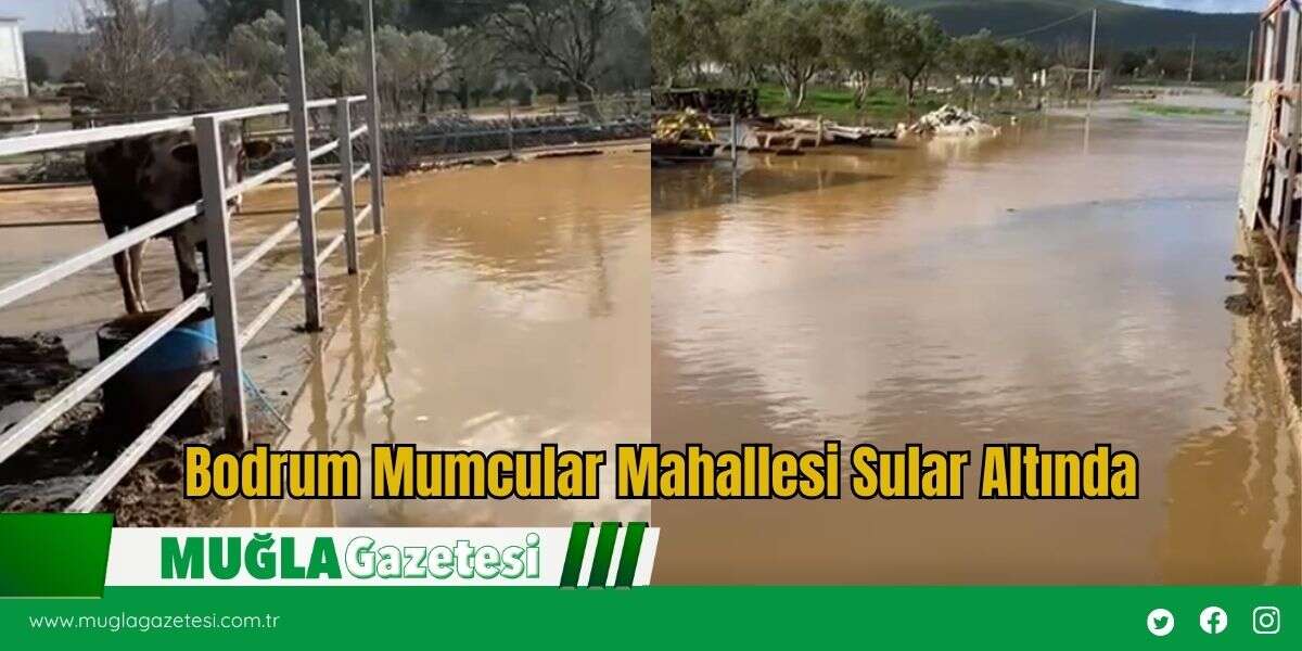 Bodrum Mumcular Mahallesi Sular Altında