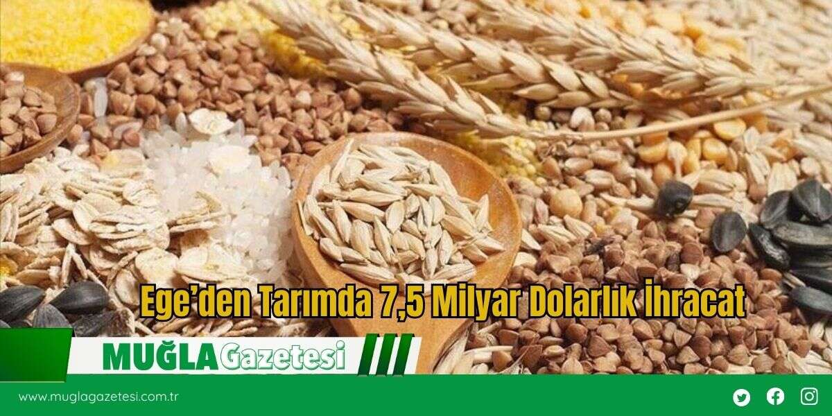 Ege’den Tarımda 7,5 Milyar Dolarlık İhracat
