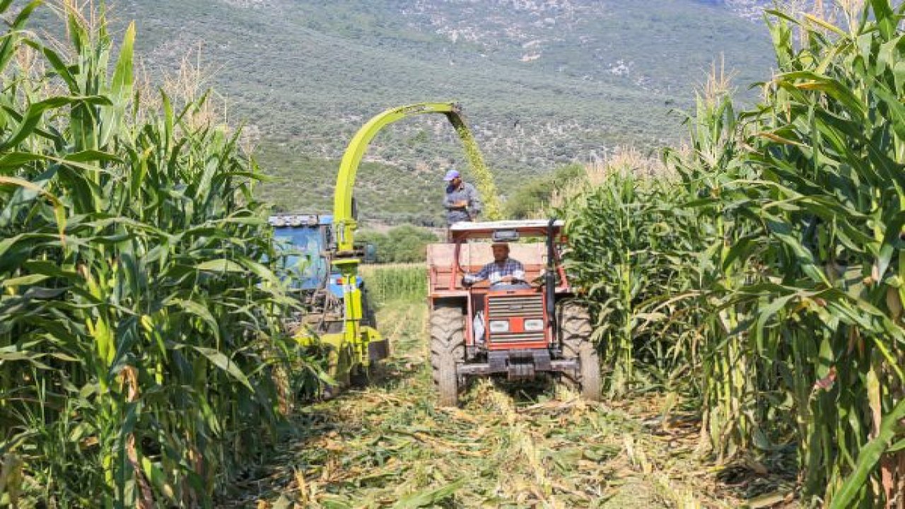 Başkan Atıcı, silaj yapma fiyatlarını açıkladı