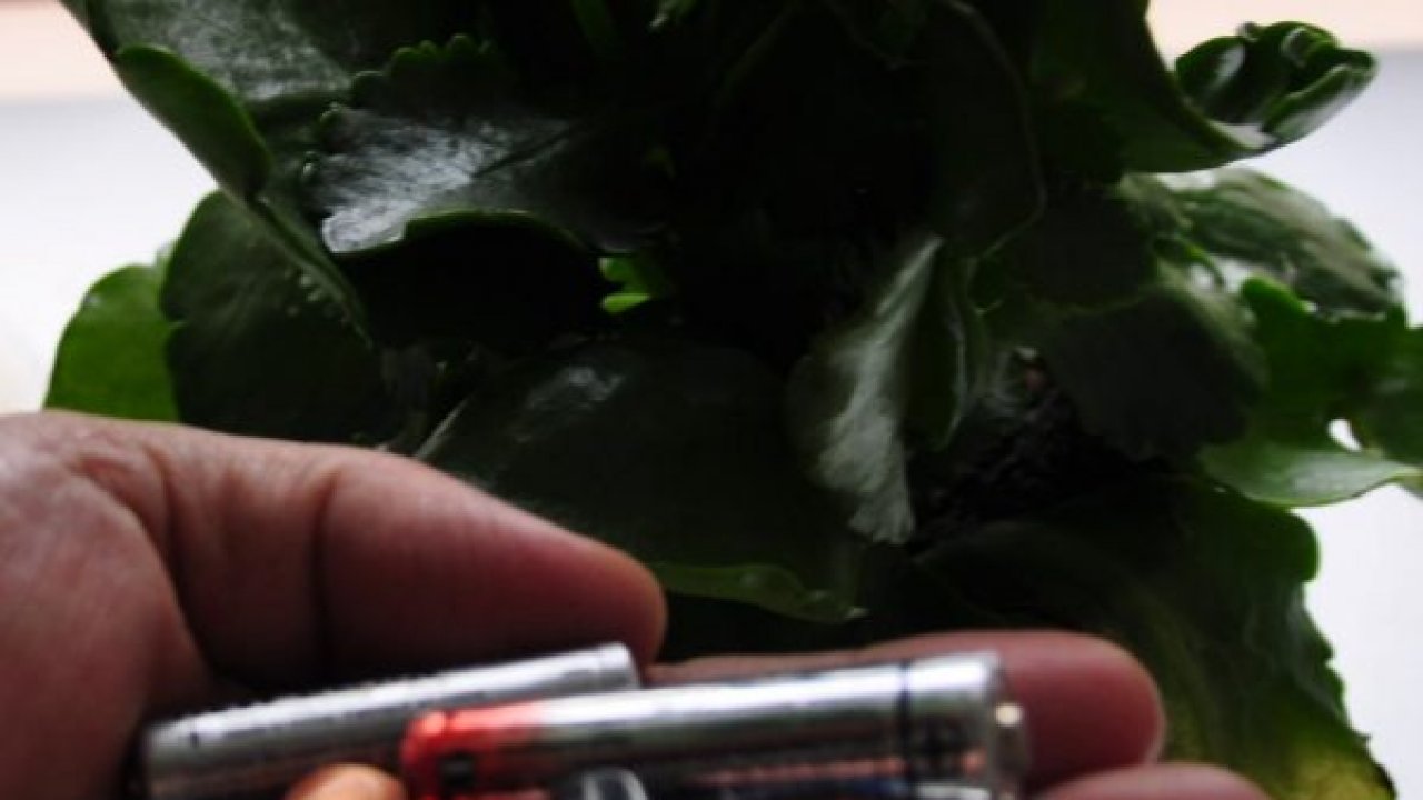 Toplanamayan piller tehlike yaratıyor