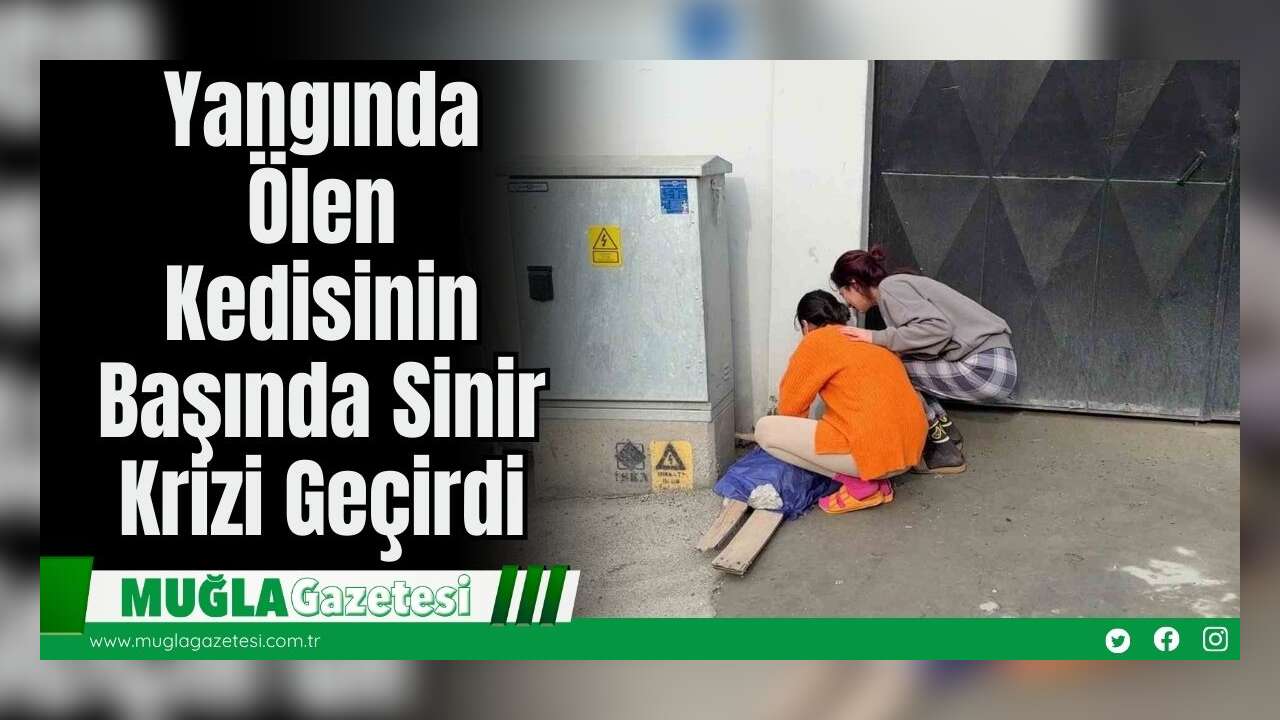 Yangında Ölen Kedisinin Başında Sinir Krizi Geçirdi