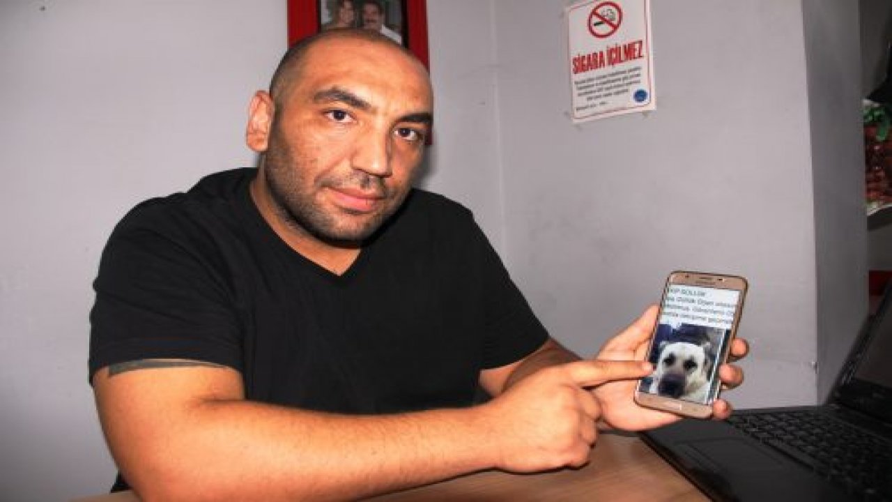 İşkence gören köpeğin sahibi ortaya çıktı