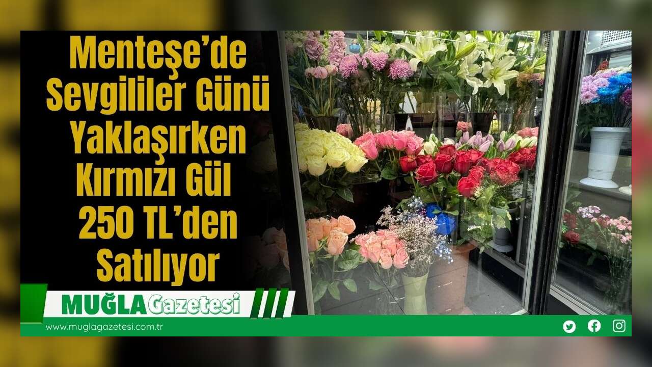 Menteşe’de Sevgililer Günü Yaklaşırken Kırmızı Gül 250 TL’den Satılıyor