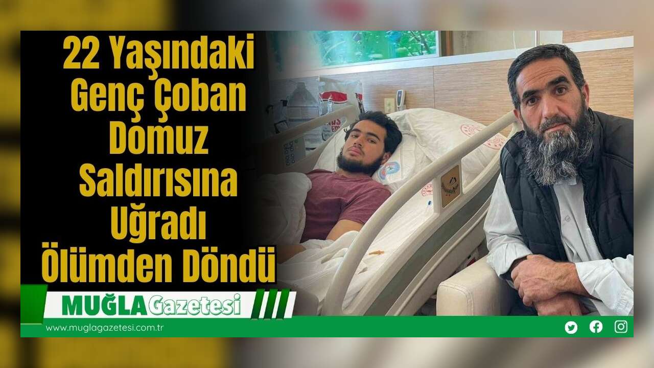 22 Yaşındaki Genç Çoban Domuz Saldırısına Uğradı: Ölümden Döndü