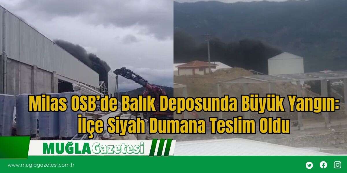 Milas OSB’de Balık Deposunda Büyük Yangın: İlçe Siyah Dumana Teslim Oldu