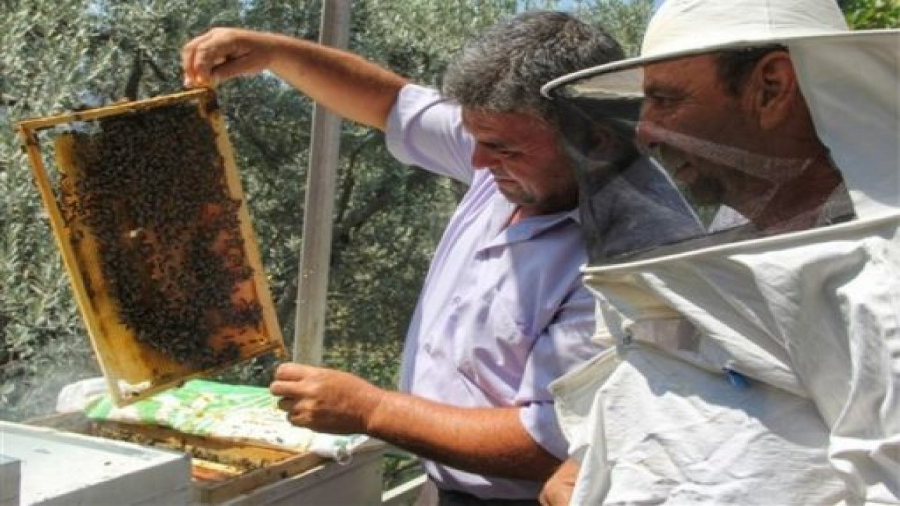 Arıcılar Pratik Eğitimler için sahada
