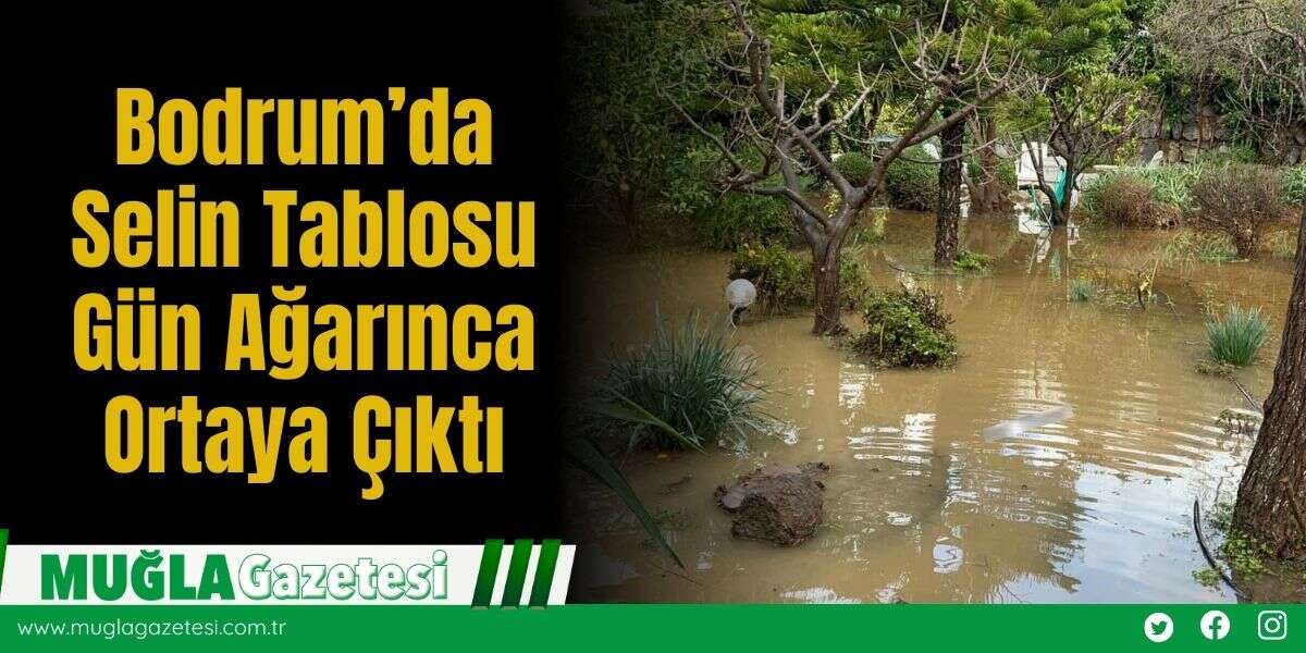 Bodrum’da Selin Tablosu Gün Ağarınca Ortaya Çıktı