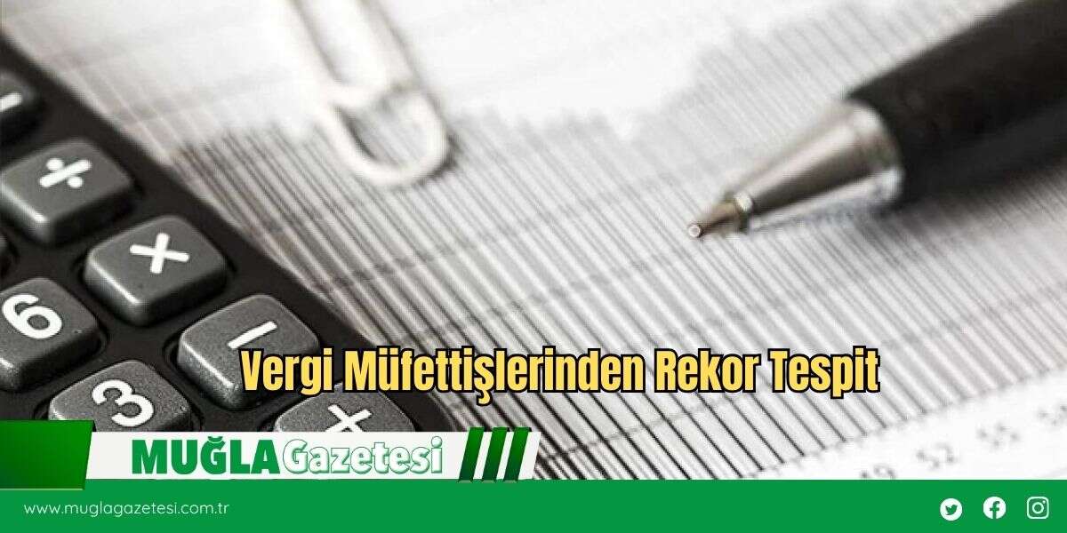 Vergi Müfettişlerinden Rekor Tespit
