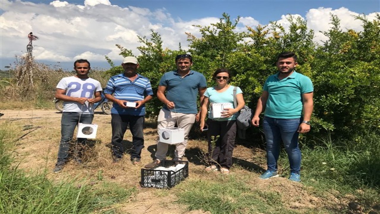 Biyolojik Mücadele Çalışması Başladı
