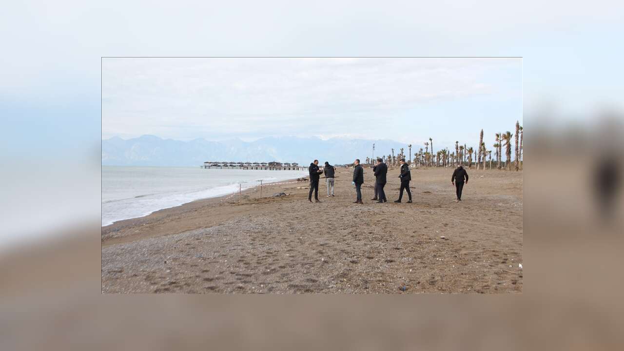 Muğla'da Sahilde Erkek C*sedi Bulundu