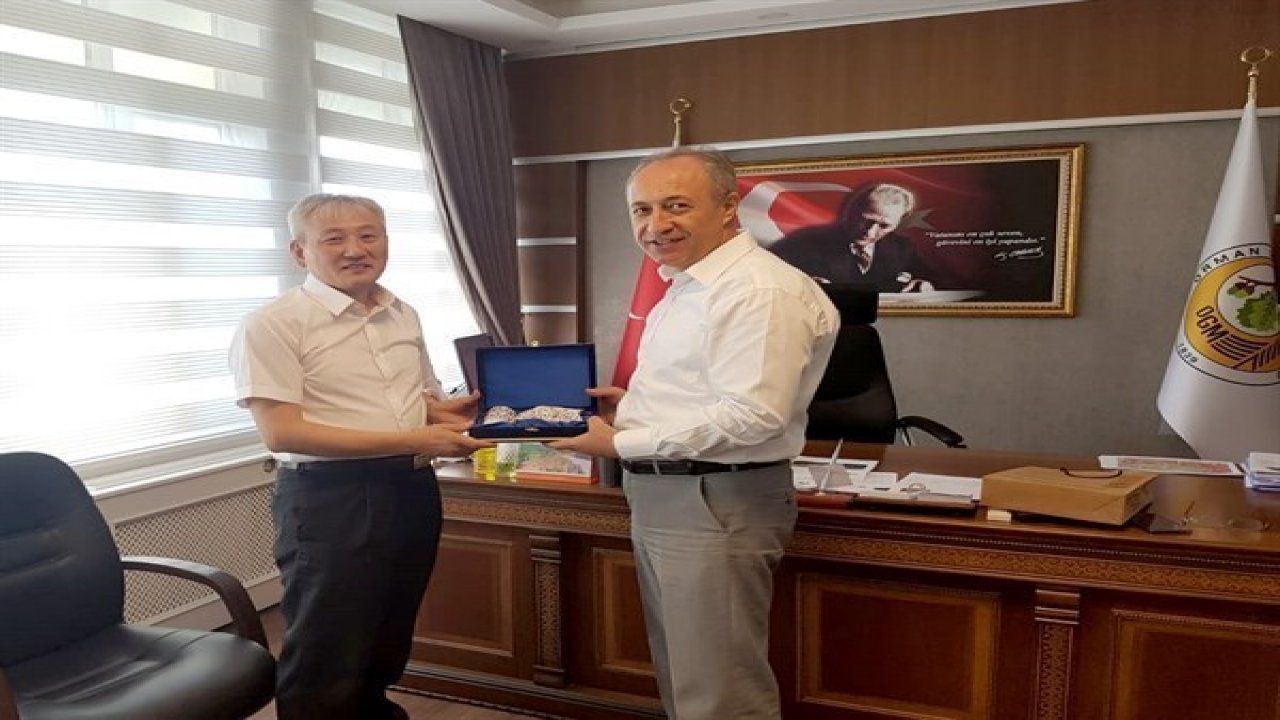 Korelilerin Ökse Otu İlgisi