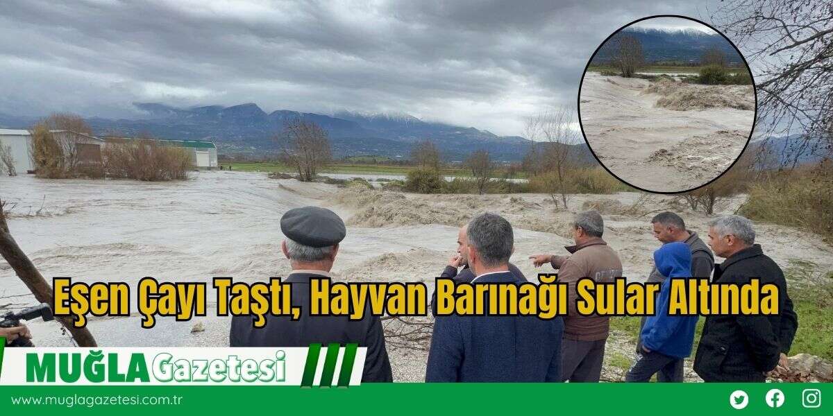 Eşen Çayı Taştı, Hayvan Barınağı Sular Altında