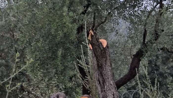 CHP’li Kılbey’den İddialara Yanıt: “Gerçekler Noterde Yazılıdır”