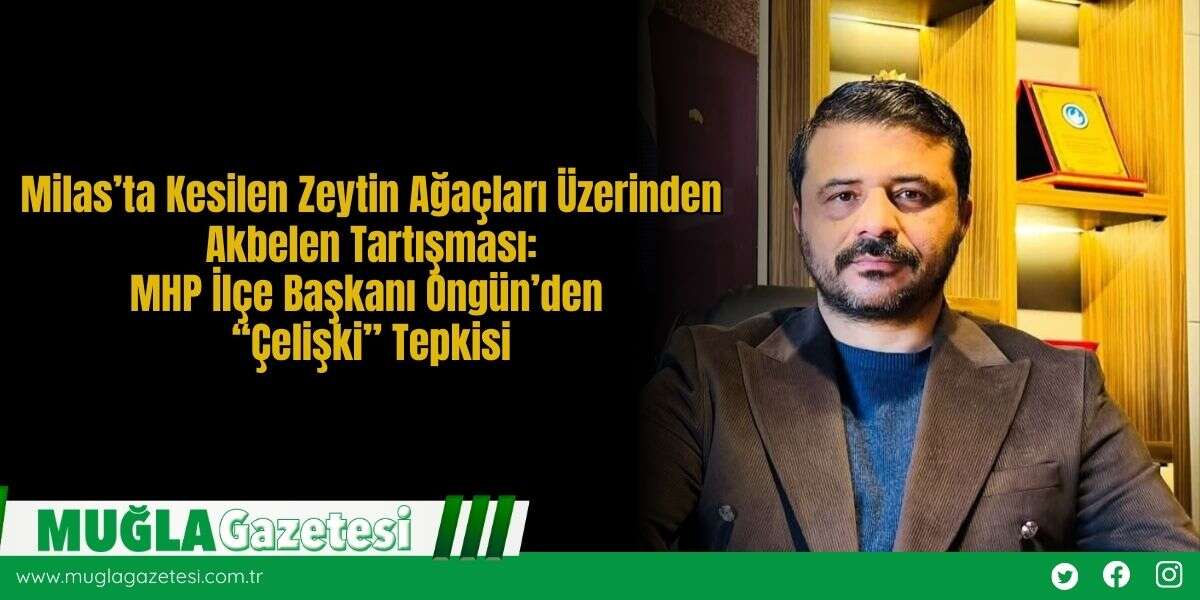 Milas’ta Kesilen Zeytin Ağaçları Üzerinden Akbelen Tartışması: MHP İlçe Başkanı Ongün’den “Çelişki” Tepkisi