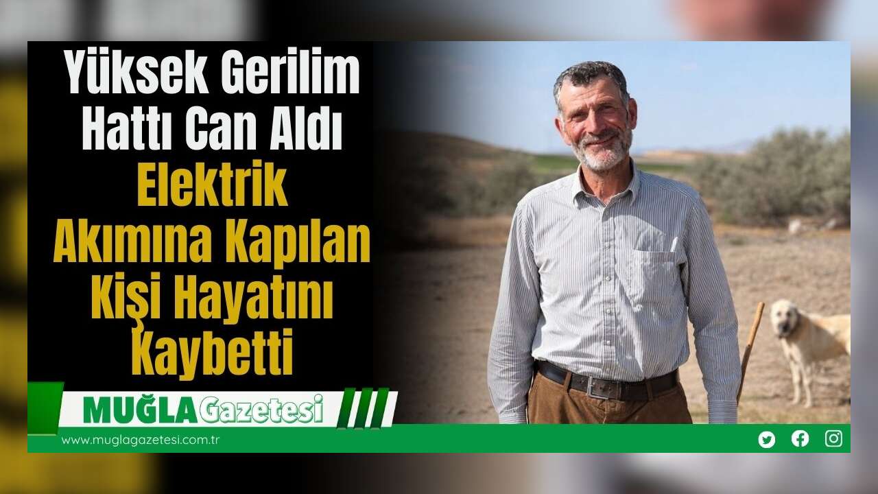 Yüksek Gerilim Hattı Can Aldı: Elektrik Akımına Kapılan Kişi Hayatını Kaybetti