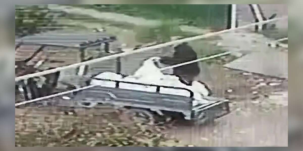 Muğla’da Araziyi Çöplüğe Çeviren Şahsa 50 Bin TL Ceza ve Gözaltı