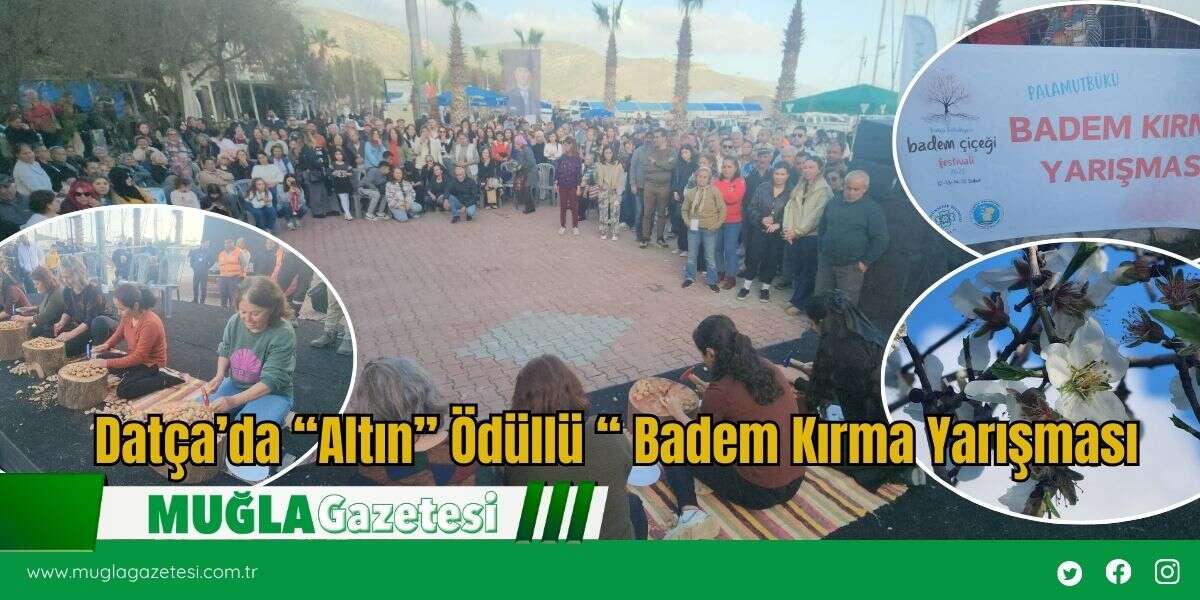 Datça’da “Altın” Ödüllü “ Badem Kırma Yarışması