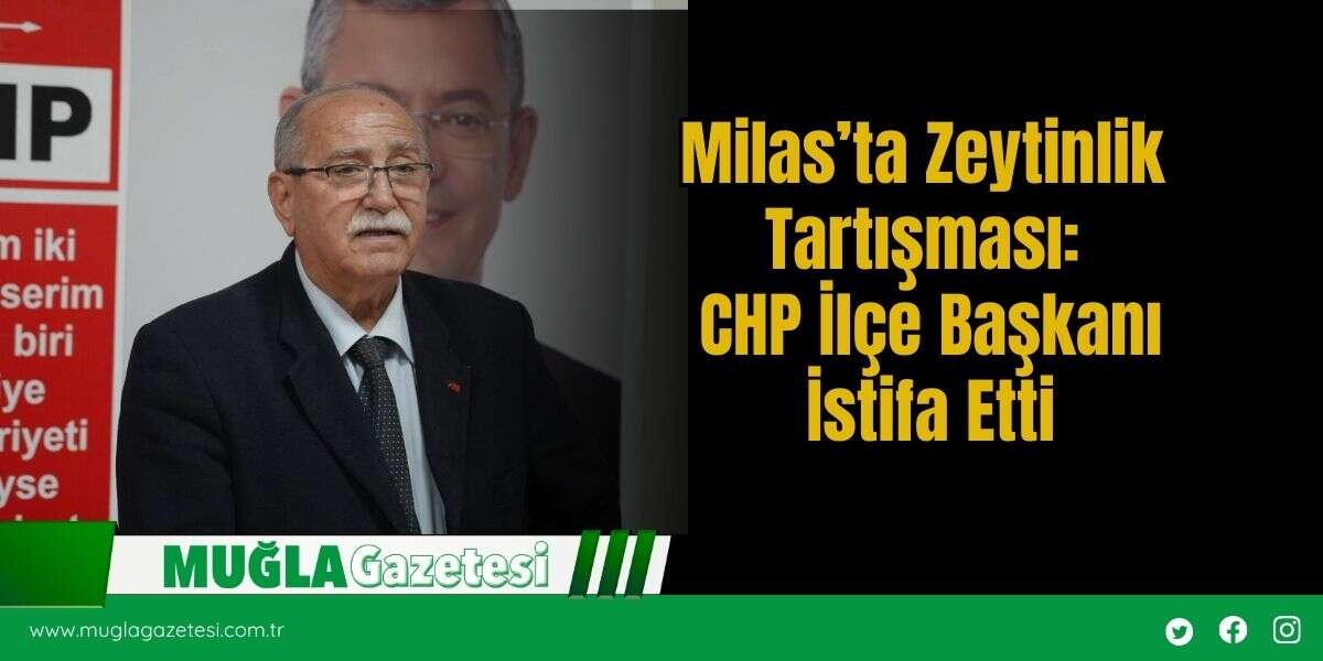 Milas’ta Zeytinlik Tartışması: CHP İlçe Başkanı İstifa Etti