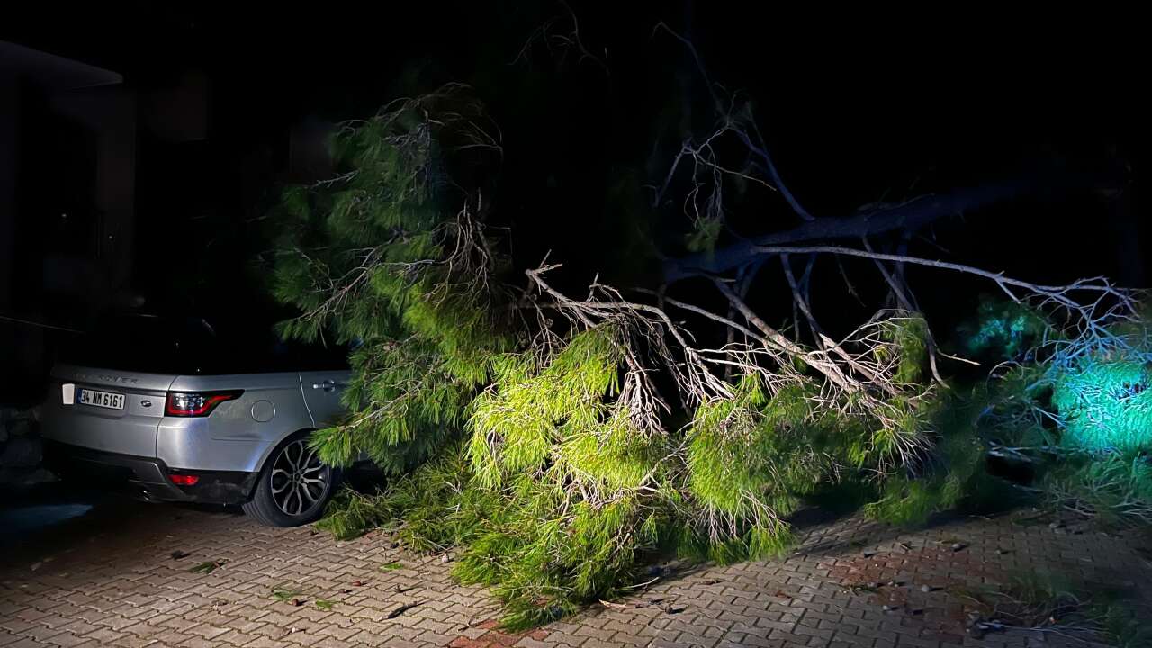 Muğla’da Fırtınada Ağaç Devirdi: 1 Kişi Yaralandı