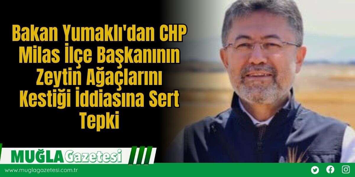Bakan Yumaklı'dan CHP Milas İlçe Başkanının Zeytin Ağaçlarını Kestiği İddiasına Sert Tepki