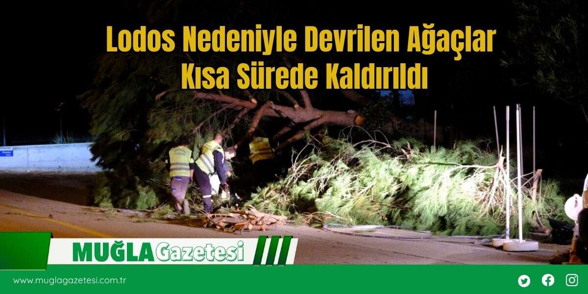 Lodos Nedeniyle Devrilen Ağaçlar  Kısa Sürede Kaldırıldı