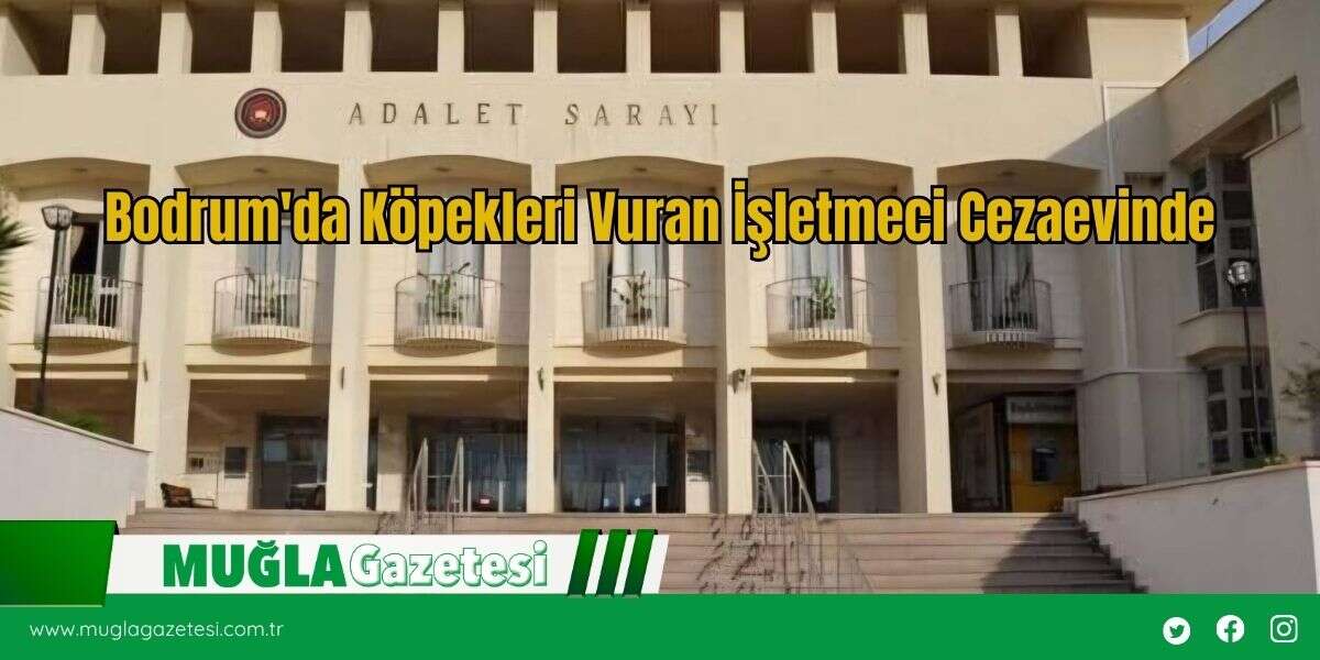 Bodrum'da Köpekleri Vuran İşletmeci Cezaevinde