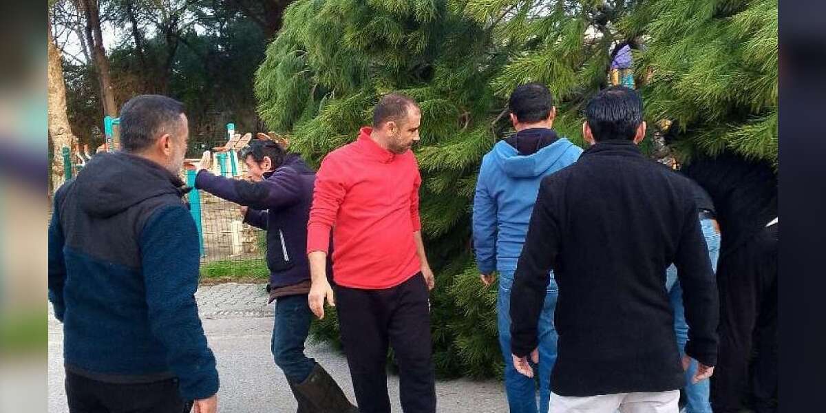 Muğla’da Fırtınada Devrilen Ağaç Anne ve Kızının Üzerine Düştü