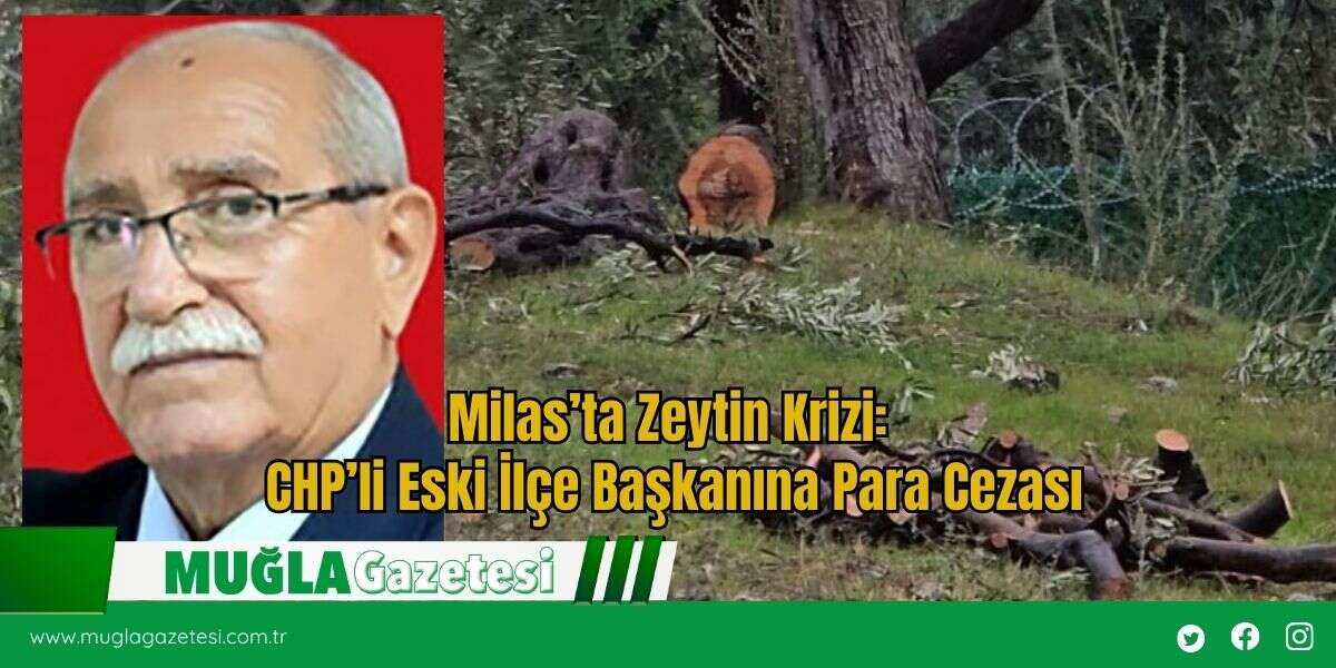 Milas’ta Zeytin Krizi: CHP’li Eski İlçe Başkanına Para Cezası