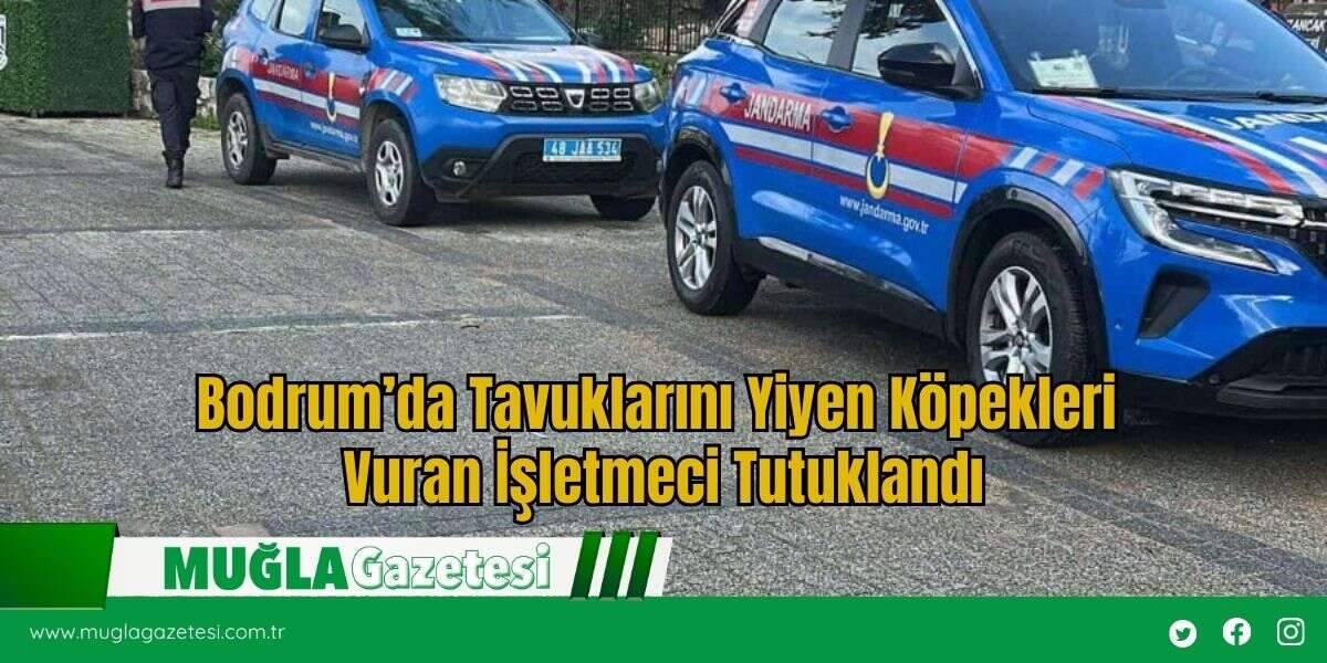 Bodrum’da Tavuklarını Yiyen Köpekleri Vuran İşletmeci Tutuklandı