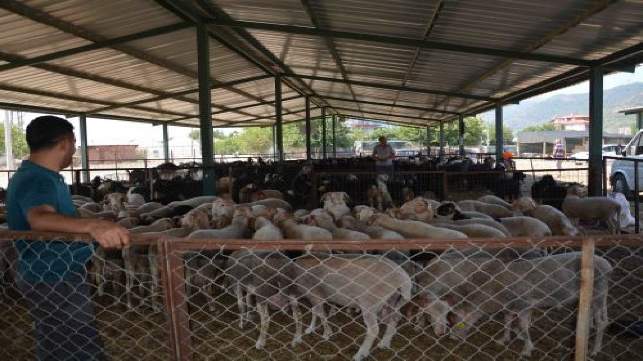Kurban pazarı hareketlendi