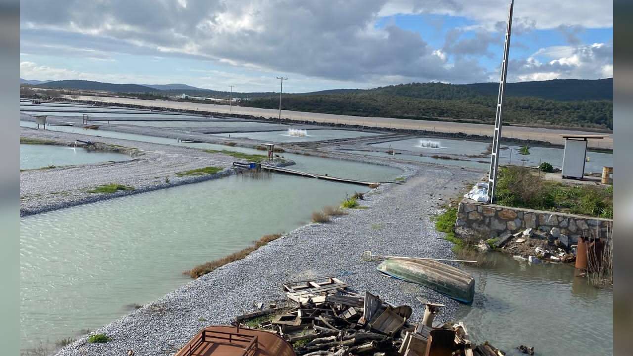 Milas’ta Sel Felaketi: Su Ürünleri Tesisleri Sular Altında, Binlerce Balık Telef Oldu