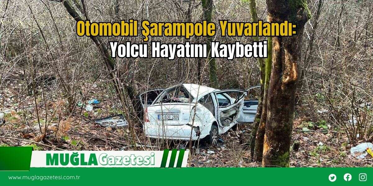 Otomobil Şarampole Yuvarlandı: Yolcu Hayatını Kaybetti