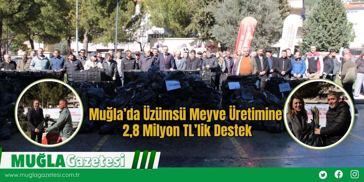 Muğla’da Üzümsü Meyve Üretimine 2,8 Milyon TL’lik Destek