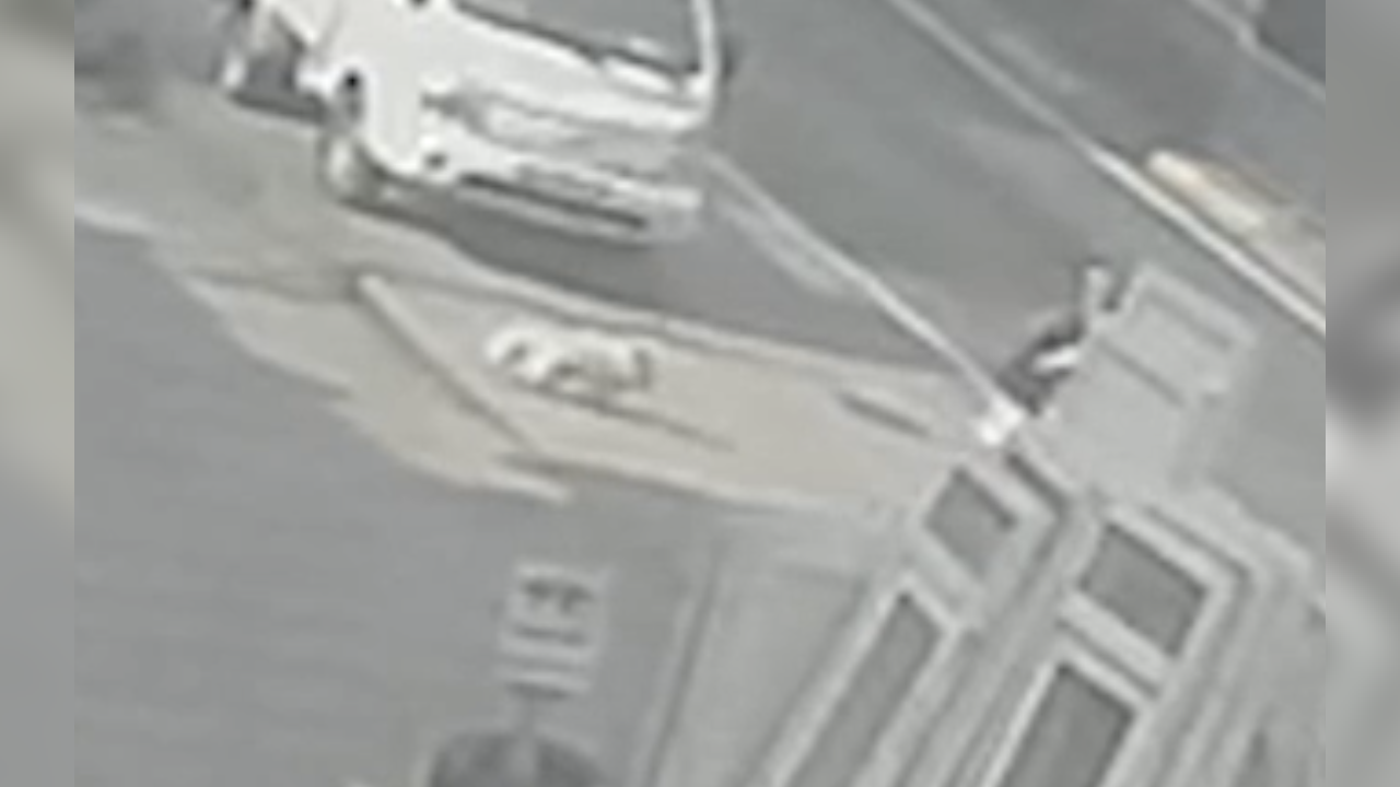 Köpekten Kaçmaya Çalışan Üniversite Öğrencisine Belediye Otobüsü Çarptı