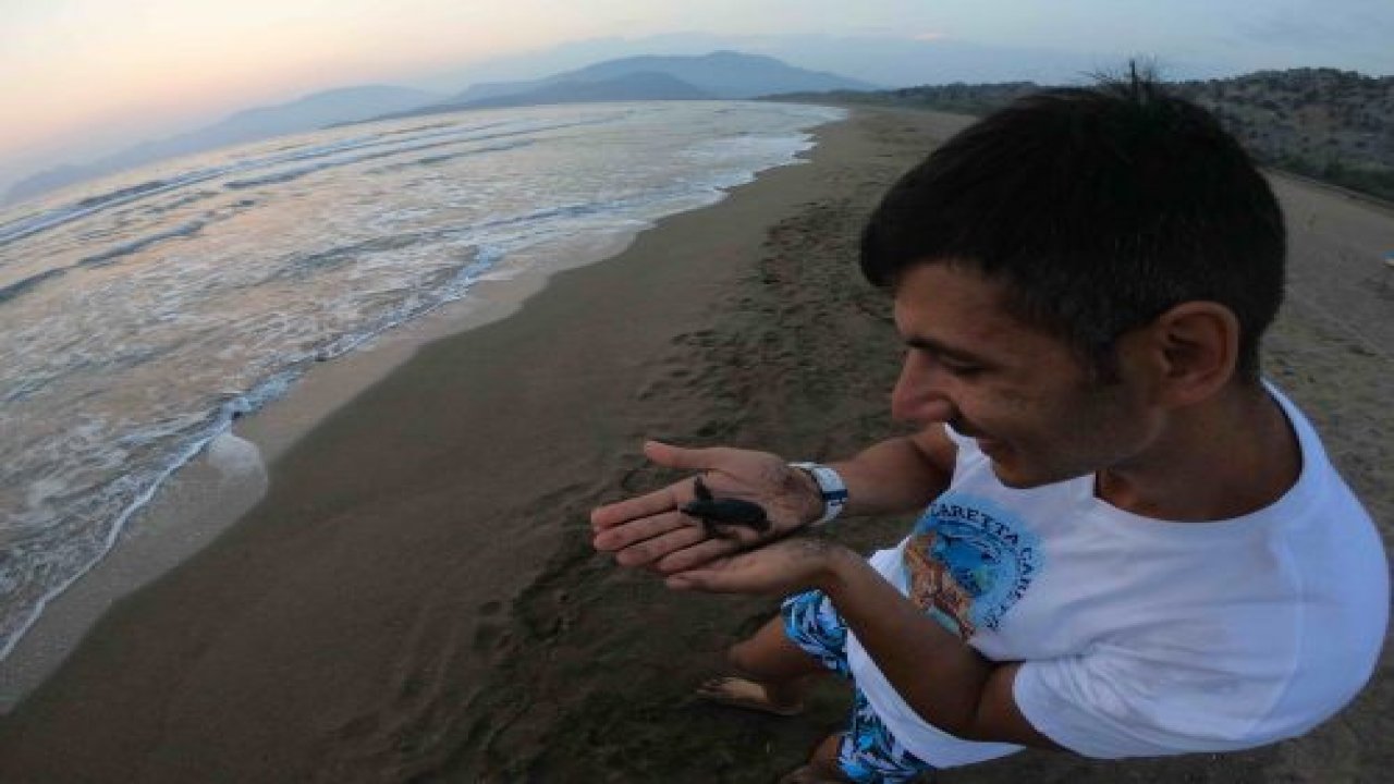 Tanay, Caretta Carettaların dünyasıyla tanıştı