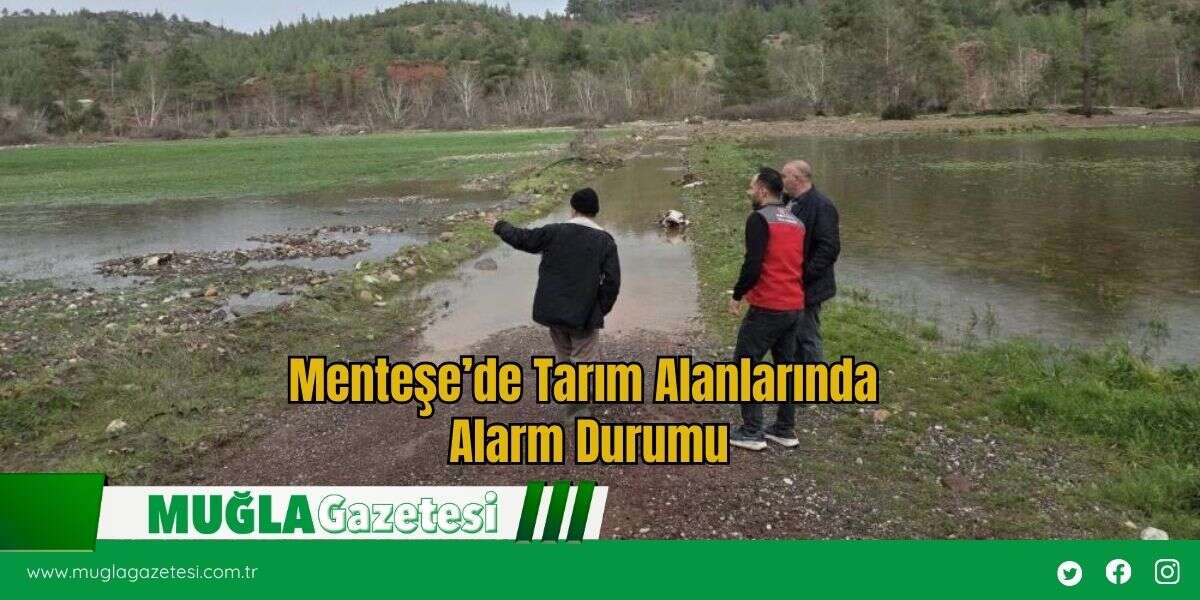Menteşe’de Tarım Alanlarında Alarm Durumu