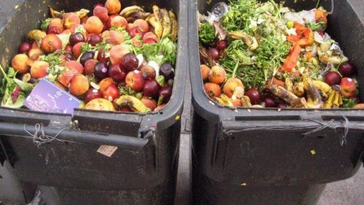 Gıdada israfı önleyemezsek gelecek karanlık